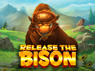 Release The Bison screenshot